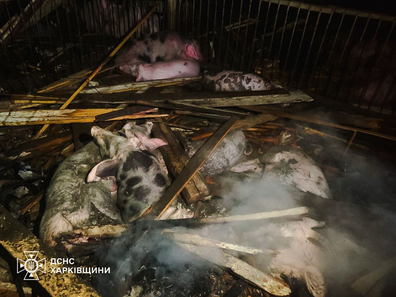 Внаслідок атаки на Харківщині горіла ферма: загинули 60 тварин